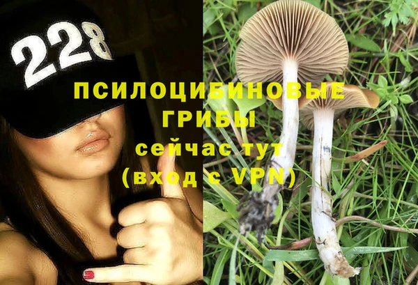 хмурый Алзамай