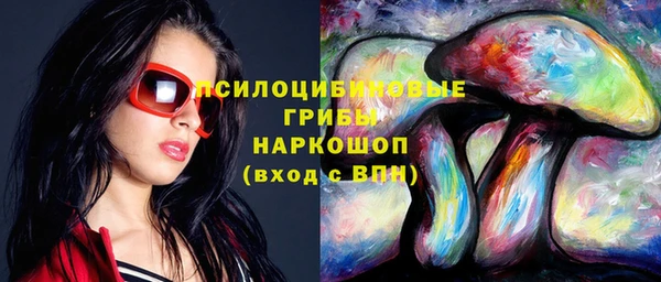 хмурый Алзамай
